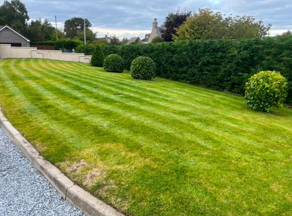 Beldorny Kingston (Moray)